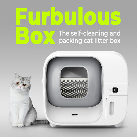 Furbulous Box Lands in Australia